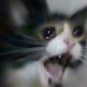 panic-in-bumbleby avatar