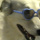 panicattheponcho avatar