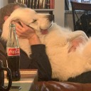 panquequecondulcedeleche avatar