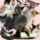 panquequess-blog avatar