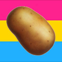 pansexual-potatoes avatar