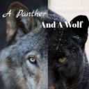 pantherwolphf avatar