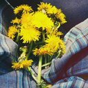 papatyakalplii avatar