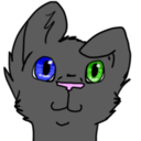 paper-stars-and-pretty-lights avatar