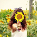 paper-sunflower-lane avatar