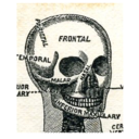 paperandblades avatar