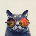 paperbagparrot avatar