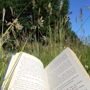 paperbooksplease avatar