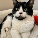 paperinfinities avatar