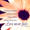 paperleaf34-blog avatar