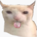 papermate000777 avatar