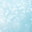 paperocketship avatar