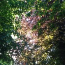 paperstarsandphilosophy avatar