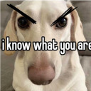 paphos-and-aros avatar