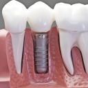 papilla-de-papaya avatar