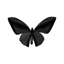 papillion-noire-blog avatar