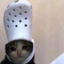 papillonwolla avatar