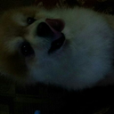 papita2426-blog avatar