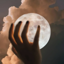 para-n0rmativity avatar