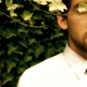 para-sitos-blog-blog avatar