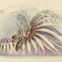 paradefloatarchive avatar