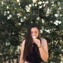 paradise-pi3r avatar