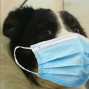 paradox-oflife avatar