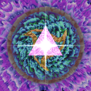 paradoxical-variant avatar