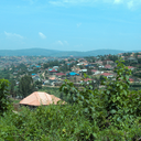 paradoxicalify avatar