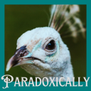 paradoxicallywrites avatar