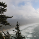 paradoxicalmess avatar