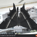 paradoxicalshawol avatar