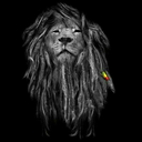 paraiso-do-reggae avatar