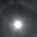 parakeetposts avatar