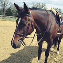 parallel-oxers-blog avatar