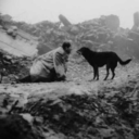 paramparcaatlarvefiller avatar