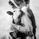 paranoidlambs avatar