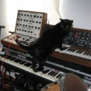 paranoidmachine avatar