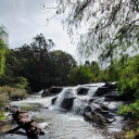 paranoidoptimist avatar