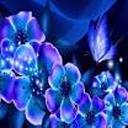 paranoidpeonies avatar