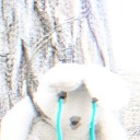 parasites-under-flesh avatar