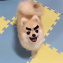 pardon-my-venting avatar