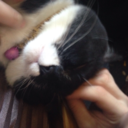 parentalabuserehab-blog avatar