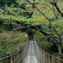 pariltilihayaller avatar