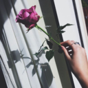 paris4eternit-blog avatar