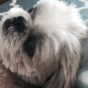 parker-kane21 avatar