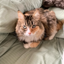 parkersbunny76 avatar