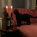 parkerssecrets avatar