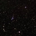 parkinglotwhale avatar