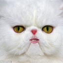 parmejeanandmarcoroni avatar